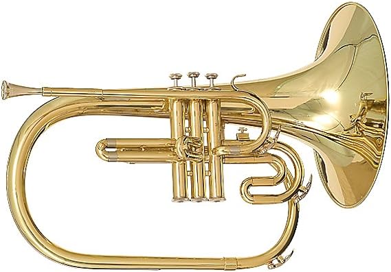 Blessing - Case, Marching French Horn, Wood, USA