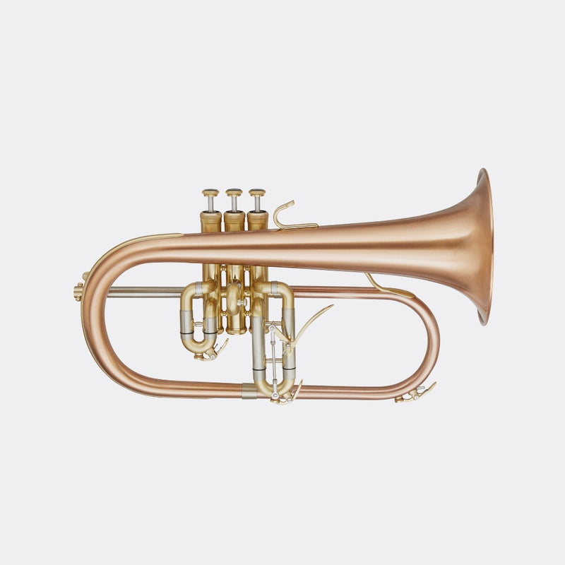 Blessing - Flugelhorn, Brushed Brass, Clear Lacquer, Outfit