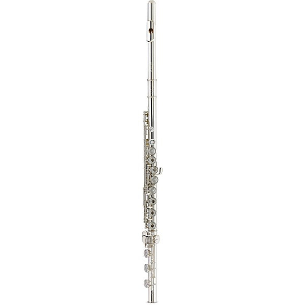 Tomasi Flute Series 9 - Exquisite .925 Lip-Plate, 14k Riser, B Foot