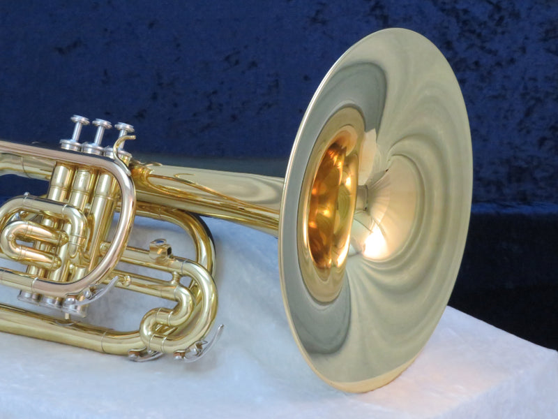 Blessing - Case, Marching French Horn, Wood, USA