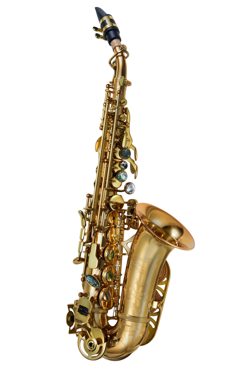 P. Mauriat - System 76 Series Curved Soprano Saxophone Silver-plated Body Gold-plated Keys, Outfit